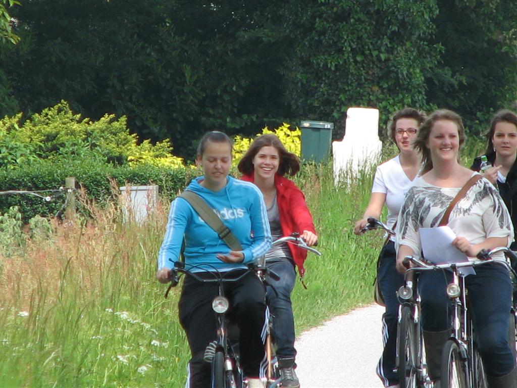 IMG_6014 (Large).jpg